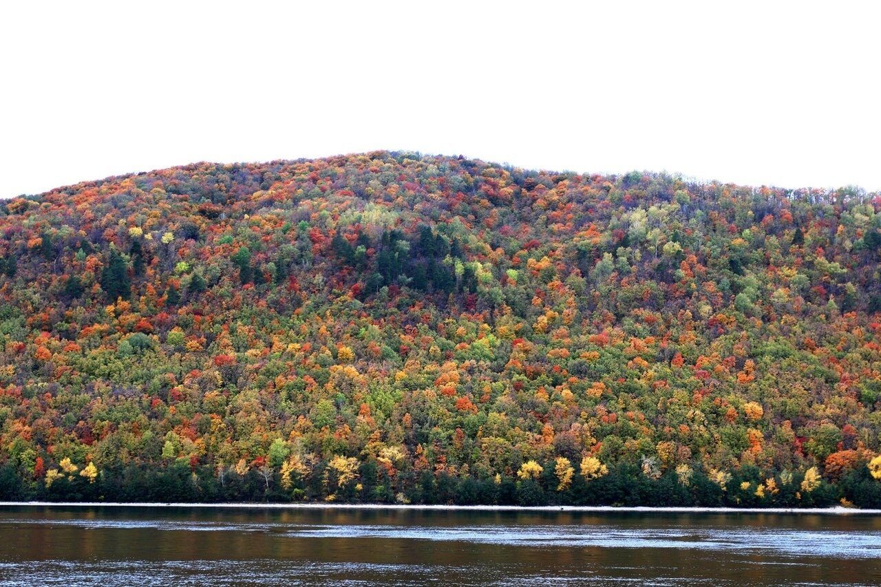 осенний курган фото