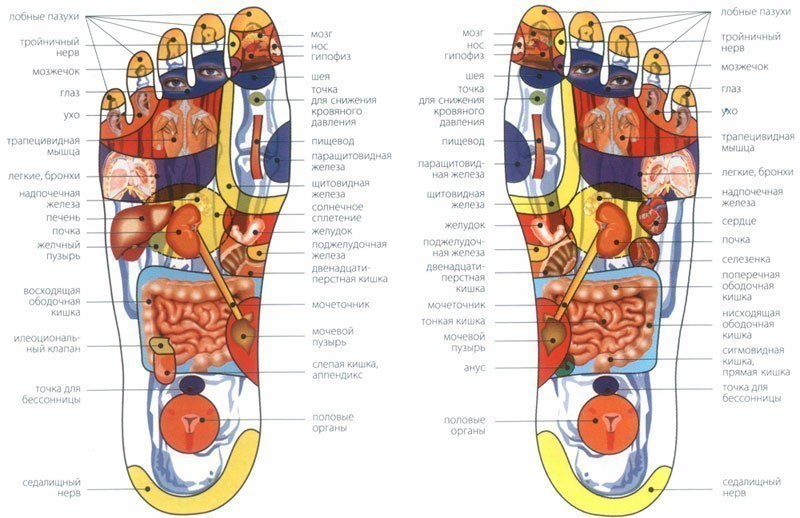Органы на стопе человека. Проекция органов на ногах. Акупунктура и акупунктурные точки на ступнях. Проекции органов на ступнях ног. Акупунктурные точки на стопах ноги человека.