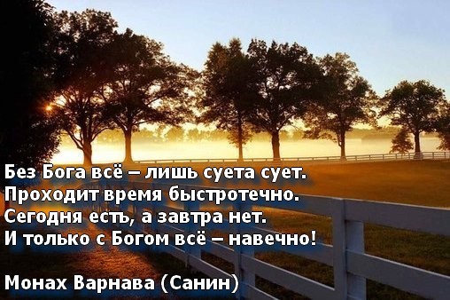 Картинка все суетишься