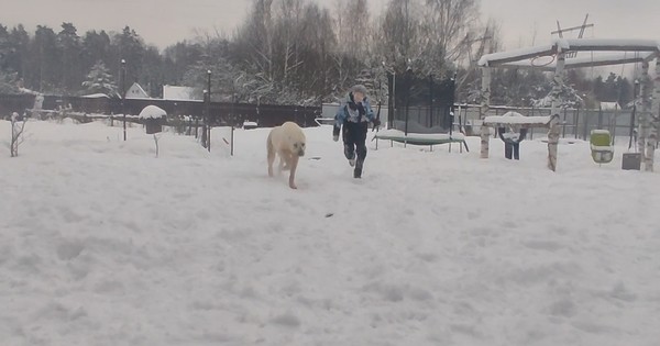 Наша белая медведица передает всем свой пламенный привет😍
Пати все ждёт тех самых, которые увидят всю ее красоту и доброту.
#пд_пати_пухля #сао #алабай #порадомойовчарки
89773141969 Галина (watsApp)
89055248855 Татьяна

5469 4000 1953 0810 подключена к номеру +79055248855 СБ на имя Татьяна  П
4893 4702 2271 2363 ВТБ
подключена к номеру +79055248855 ВТБ на имя Татьяна П
5536 9138 8356 8855 Тинькофф на имя Галина И.
Яндекс кошелек 410016099466150