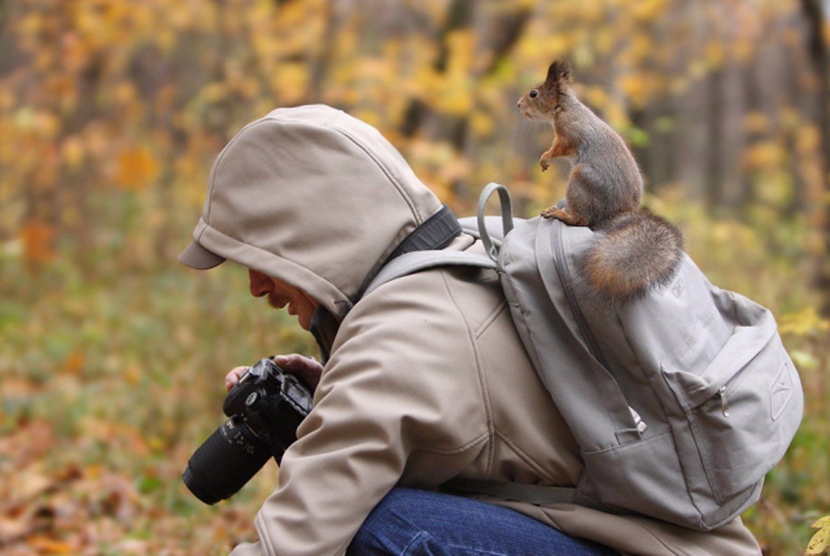 Фотоохота. Фотоохота на животных в дикой природе. Позитивные демотиваторы. Мотиваторы юмористические. Прикольный мотиватор.