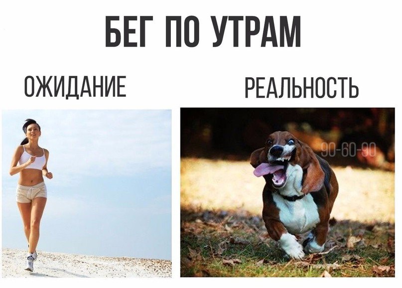 Утренняя пробежка прикольные картинки
