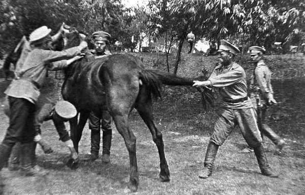 Оренбургские казаки подковывают коня, 1914 г.